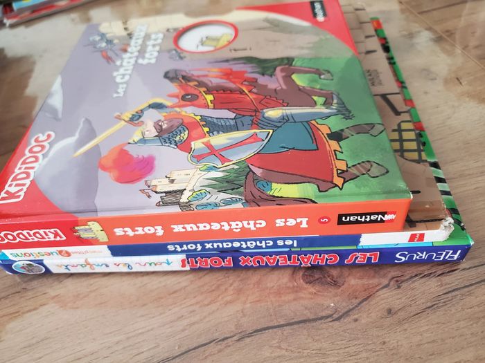 Lot de 3 livres Chateaux forts - photo numéro 4