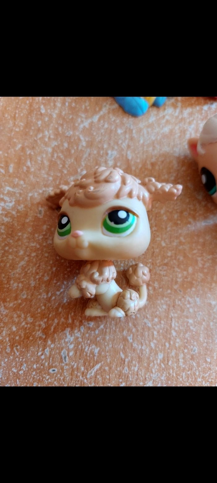 Pet shop cheval et caniche - photo numéro 3