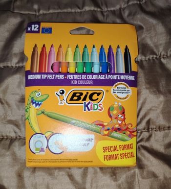 Lot 12 feutres bic kids