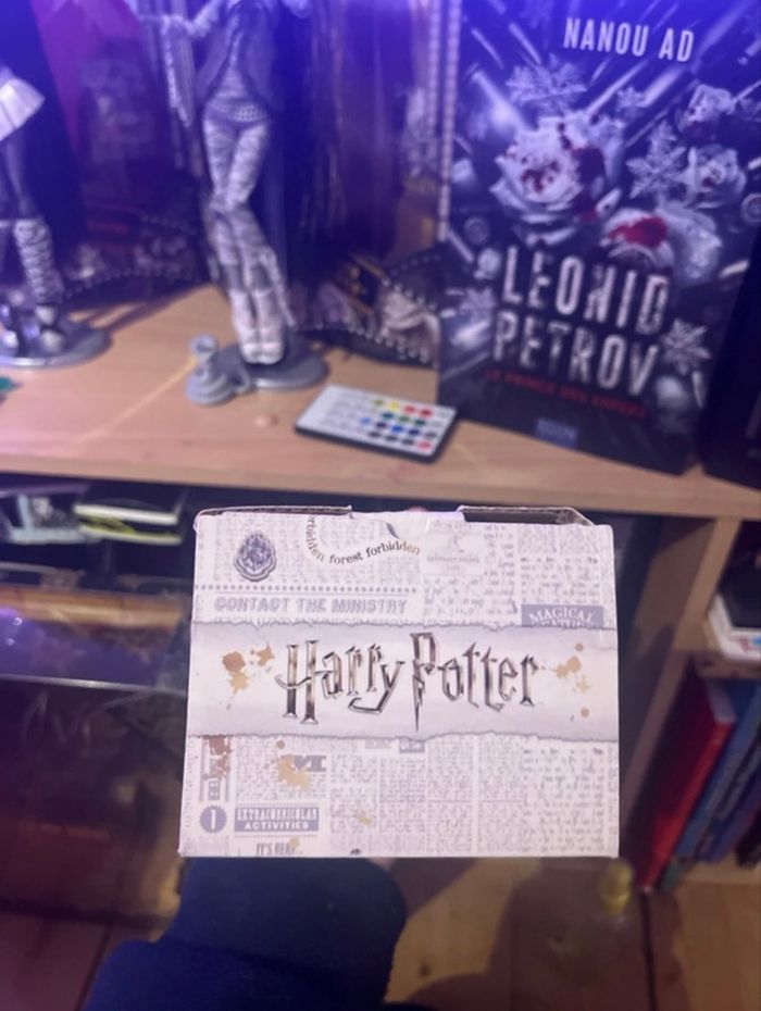 Petite figurine Rubeus Hagrid - photo numéro 4