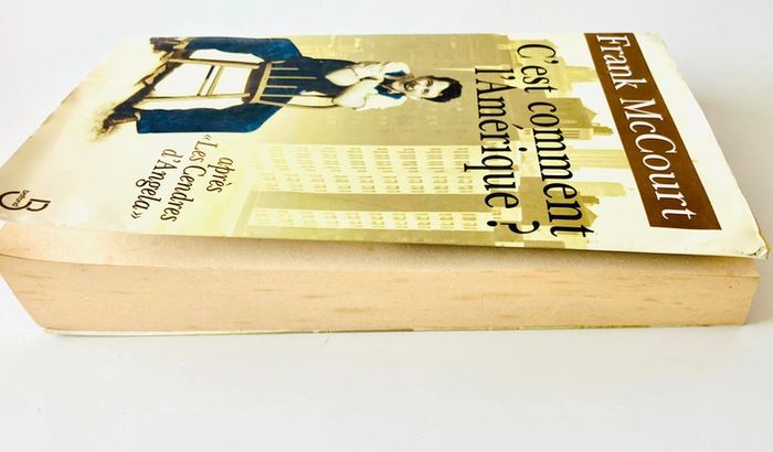 Roman C'est comment l'Amérique ? Frank McCourt - photo numéro 5