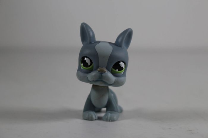 LPS Littlest Pet Shop 857 Boston Terrier Dog Gris