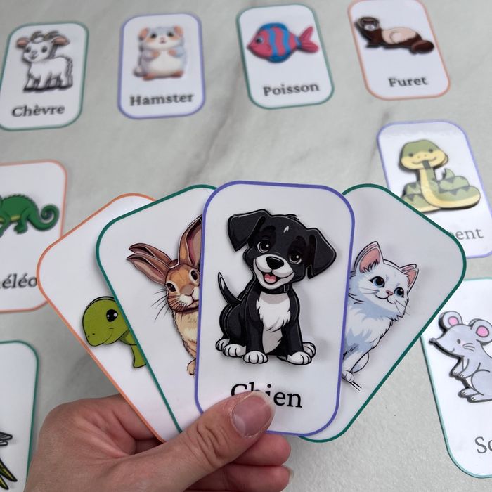 Jeu animaux de compagnie - photo numéro 2