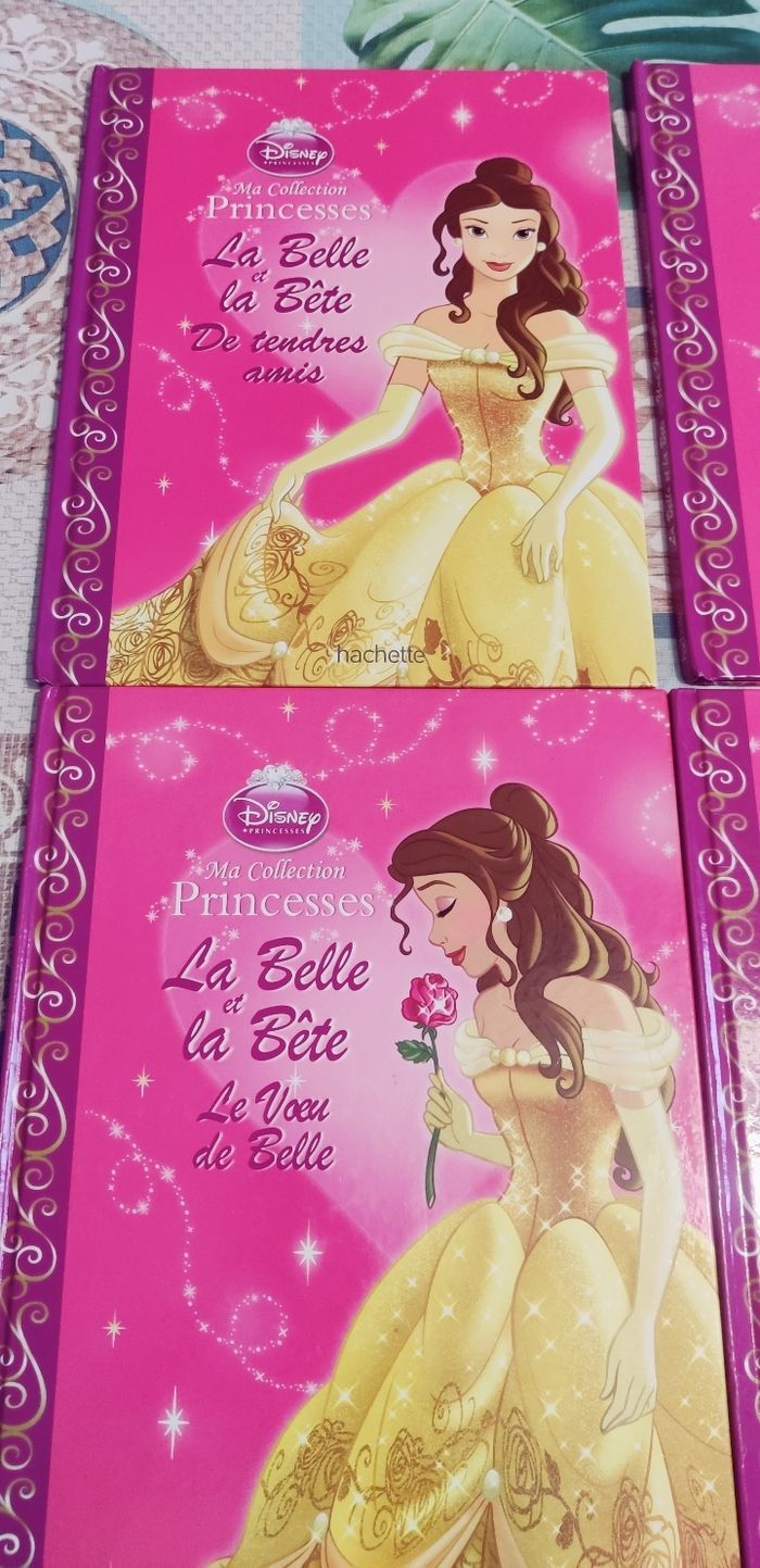 Livres la belle et la bête - photo numéro 2