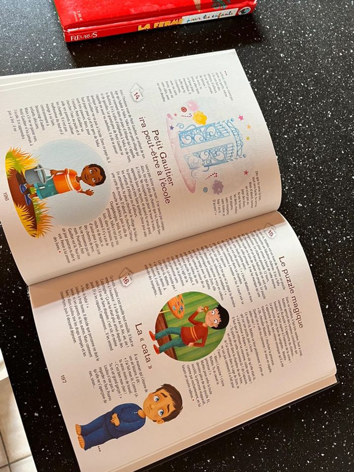 Livre plusieurs histoires - photo numéro 4