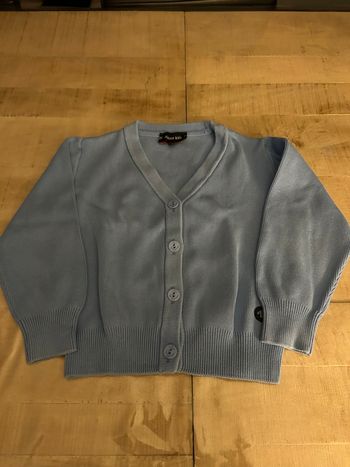 Gilet bleu clair 