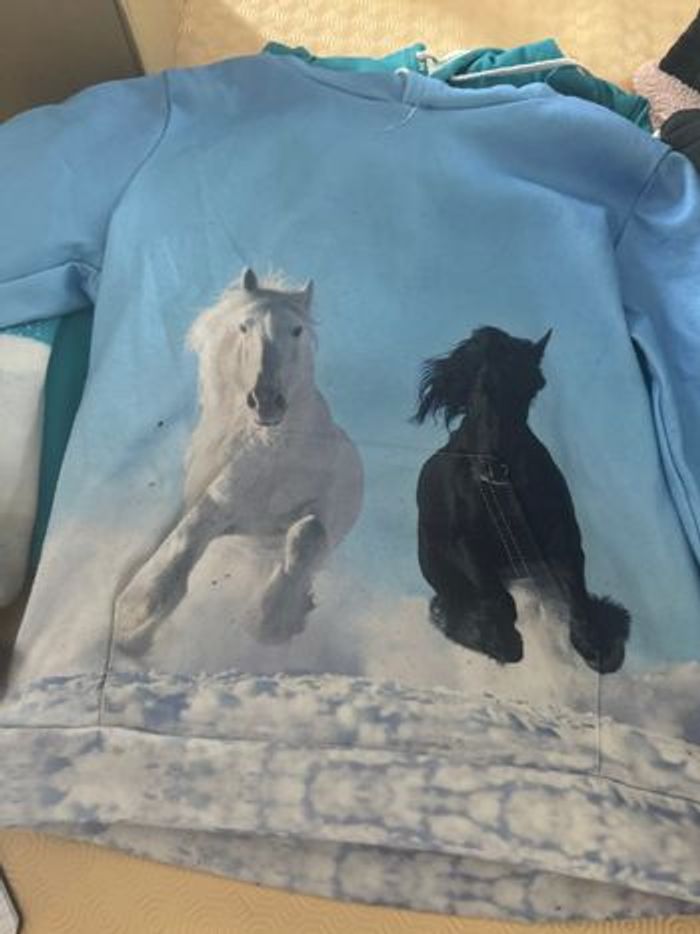 lot 21 vêtements environ fille 12 ans - photo numéro 5