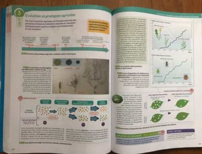 Enseignement scientifique Terminale - photo numéro 4