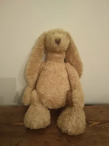 Peluche