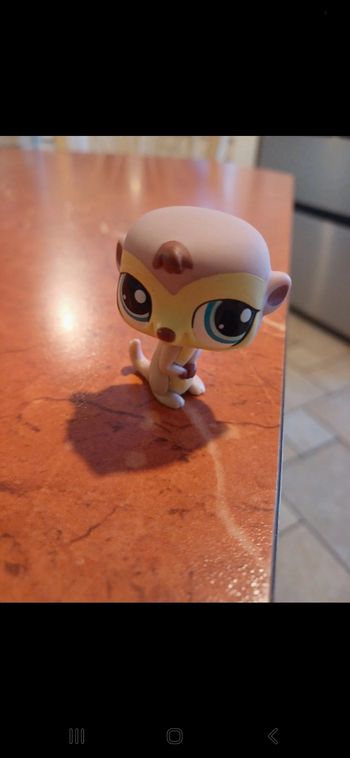 Little Petshop Suricate