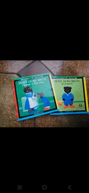 Lot de 2 Livres pour tout petit "petit ours brun"