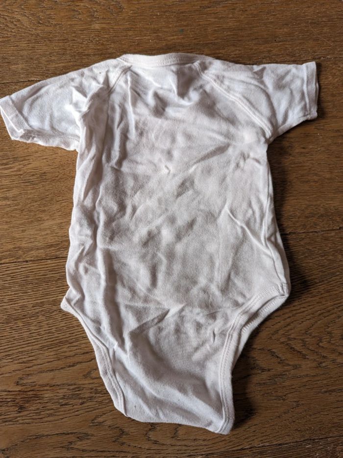 Lot 3 bodies manches courtes kitchoun / pommettes 9 mois - photo numéro 9