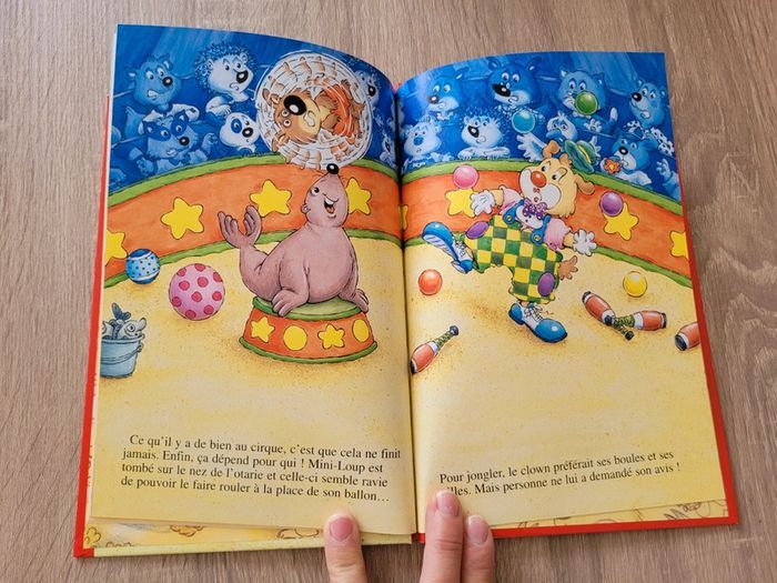 Livres sur les fées et Mini-Loup + DVD Zouzous - photo numéro 9