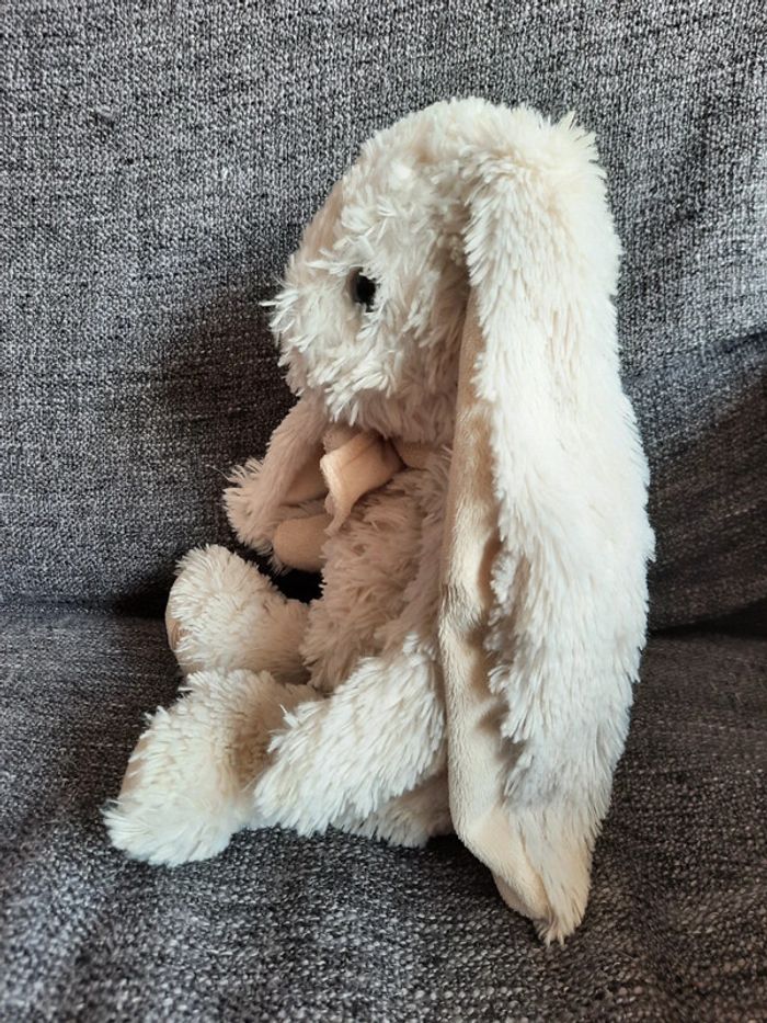 Lapin André bukowski - photo numéro 2