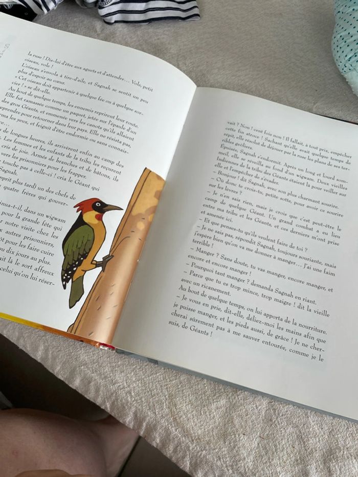 Livre histoires de nains et lutins - photo numéro 14