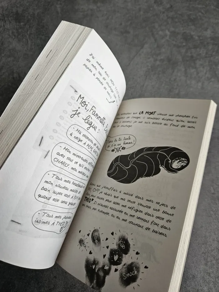 Livre roman jeunesse "Journal d'une peste T.6 - Enfin les vacances " - poche - photo numéro 5