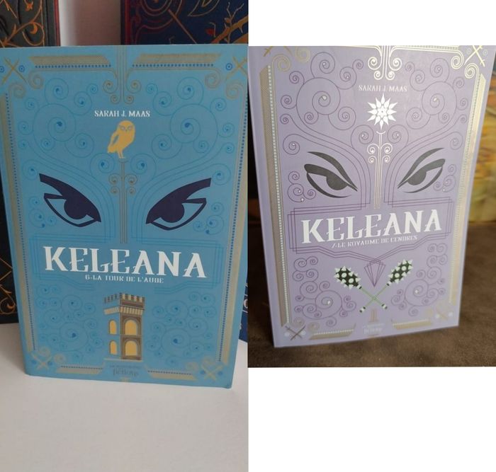 2 Romans Keleana tomes 6 La Tour de l'Aube et 7- Sarah J. Maas La Martinière