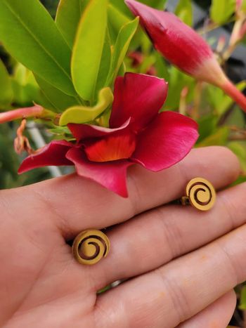 Boucles spirales acier inoxydable gold.