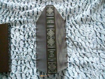 Livre de Dominique Saint-Alban « Noële aux Quatre Vents - Tome 2 »