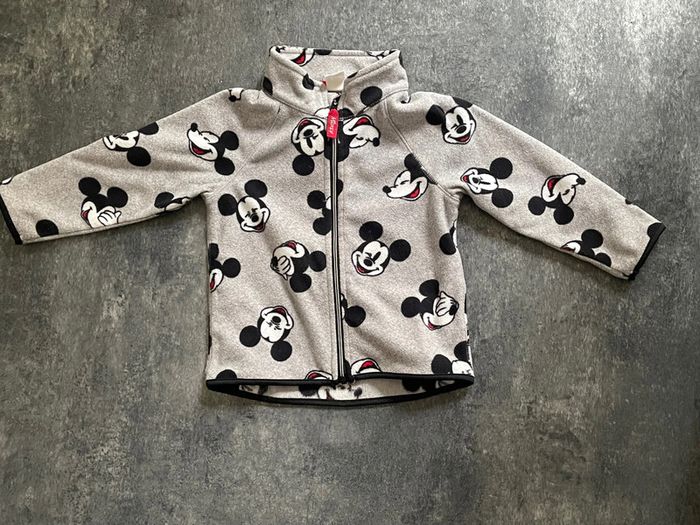 Ensemble polaire Mickey