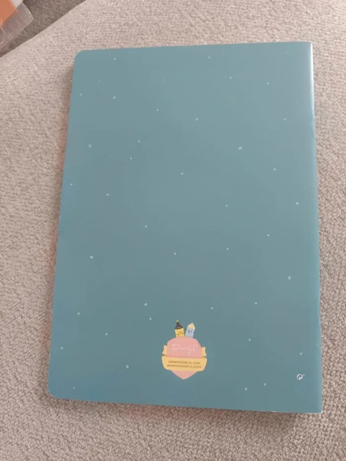 Cahier tu déchires tout - photo numéro 2