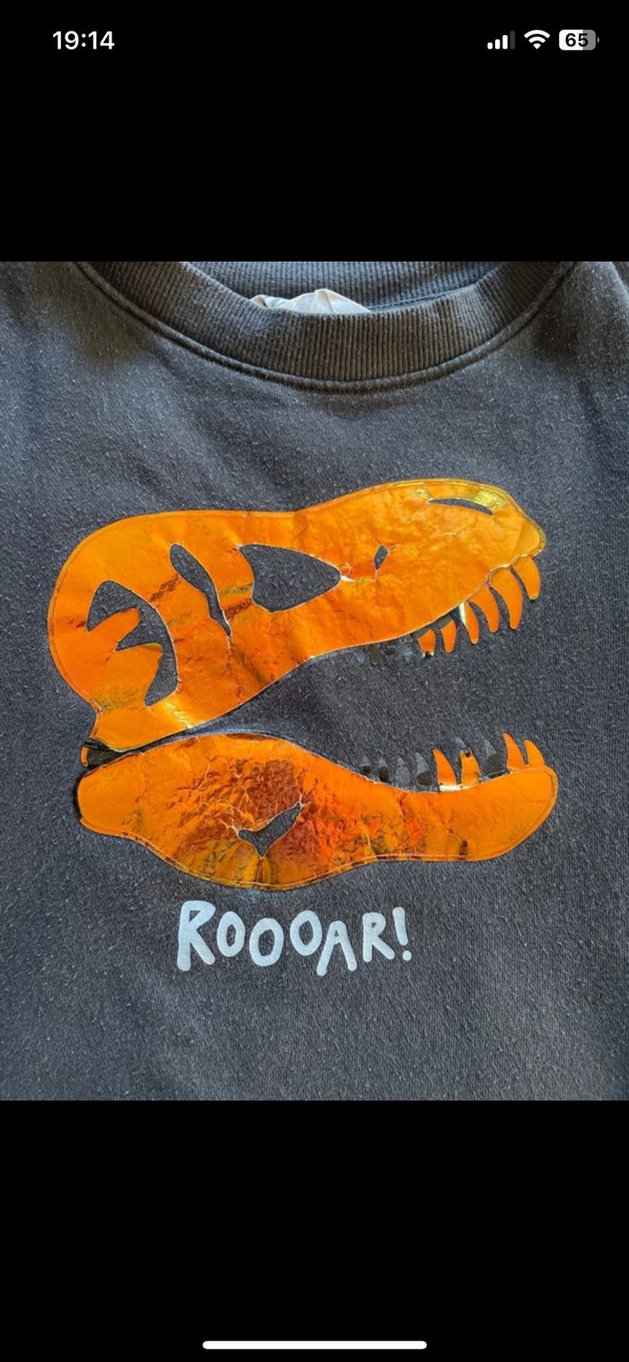 Pull enfant dinosaure - photo numéro 2