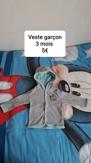Veste garçon taille 3 mois