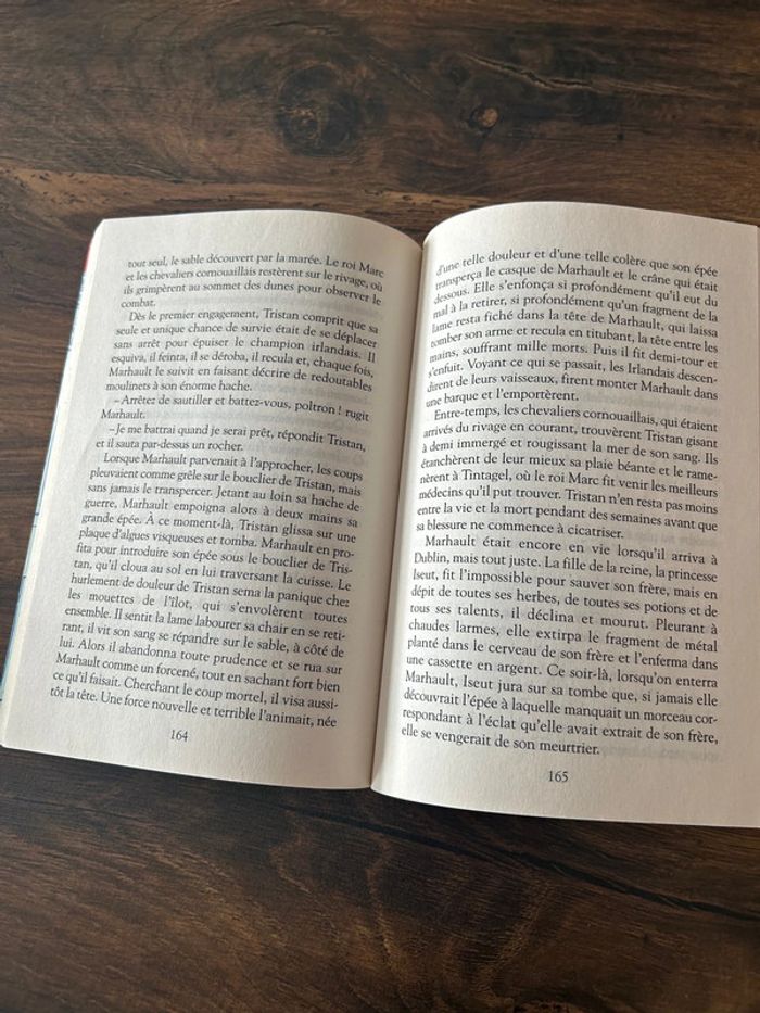 Le roi Arthur roman 9 ans - photo numéro 3