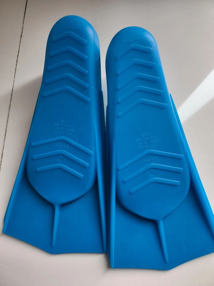 Palmes bleues 37/38 - photo numéro 2