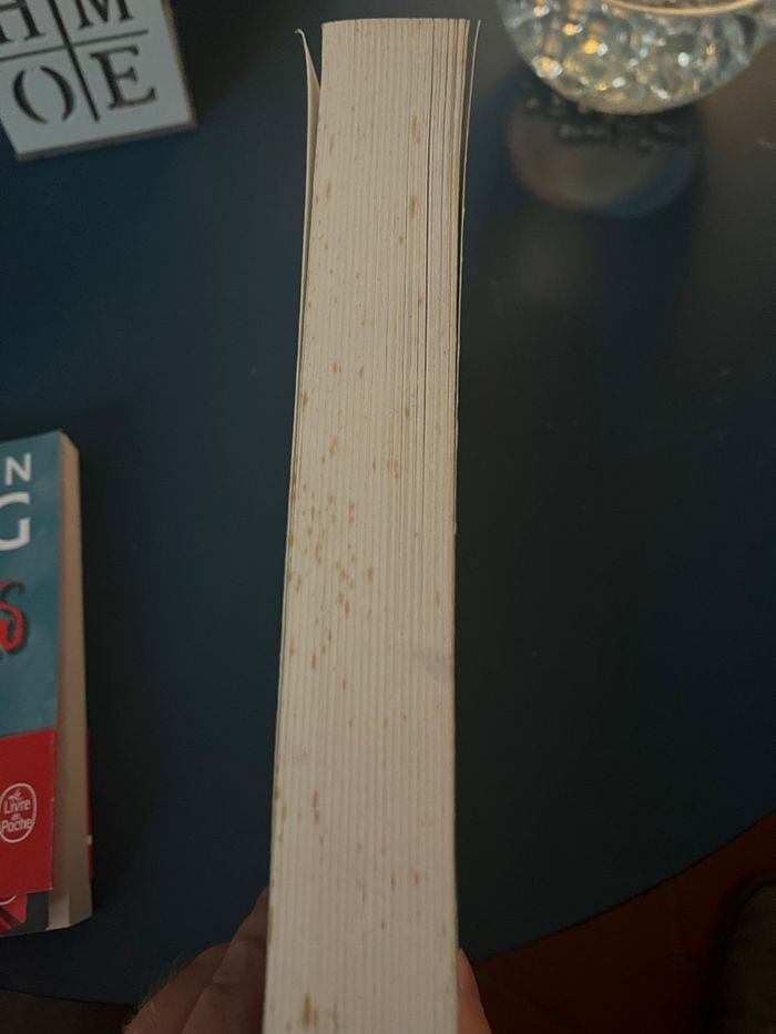 Stephen King - Blaze - photo numéro 2