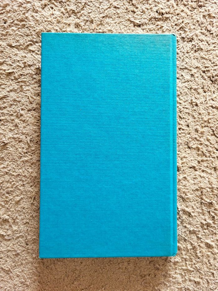 Jules empaille d'Hélène Tournaire – Roman noir / Thriller psychologique - photo numéro 2