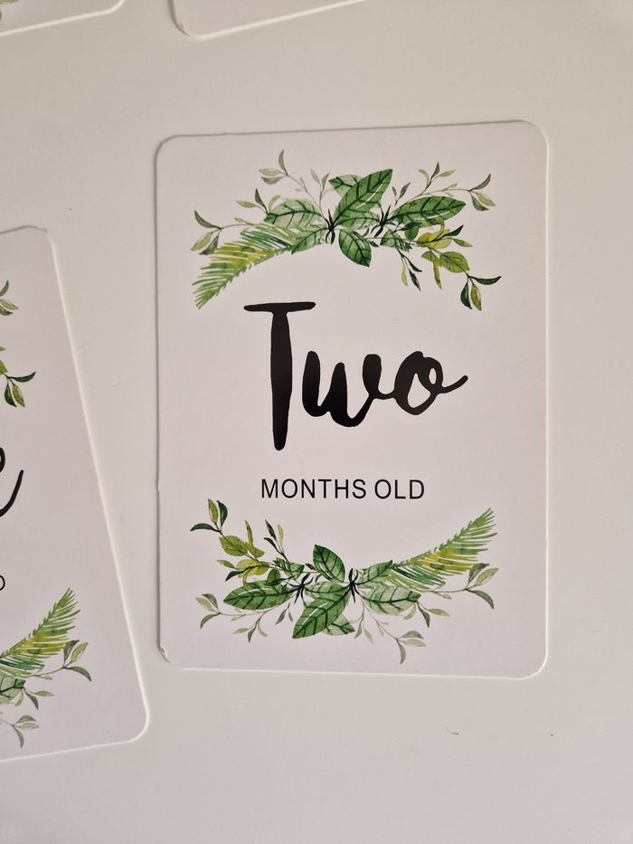 Lot des 12 cartes première année naissance bébé - photo numéro 3