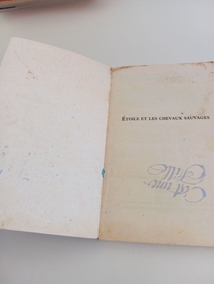 Livre les secrets du poney club étoiles et les chevaux sauvages - photo numéro 2