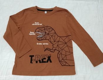 T shirt manches longues épais T rex 5 ans