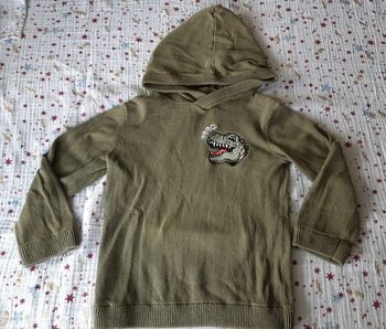 Pull capuche dinosaure vert Gemo 4 ans