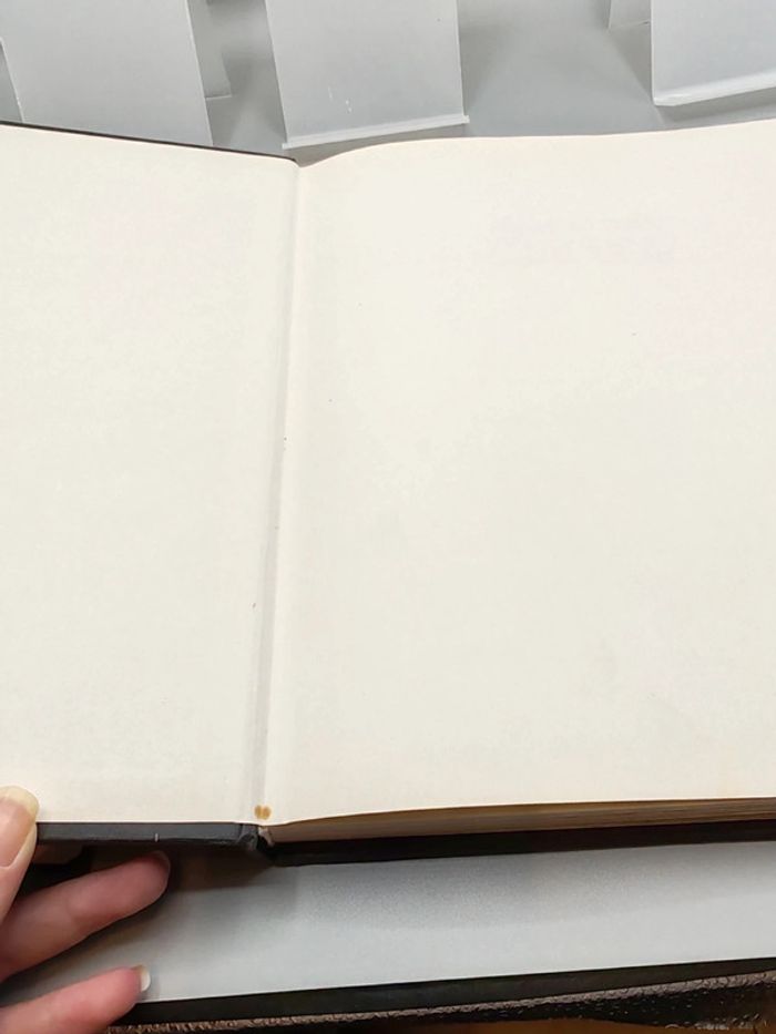 Livre happy birthday Mickey 50 ans - photo numéro 5