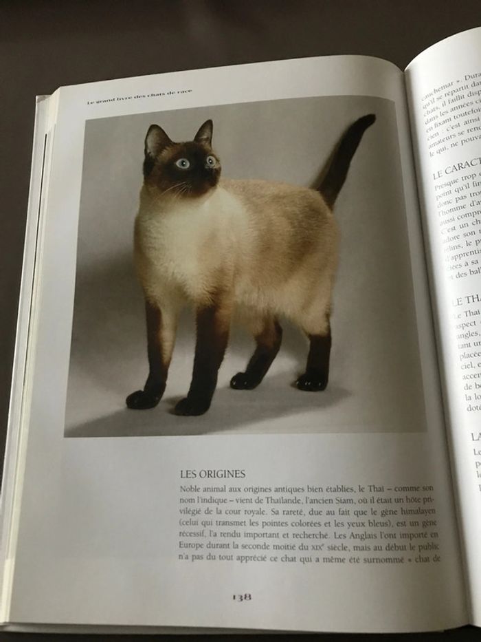 Le grand livre des chats de race - photo numéro 7