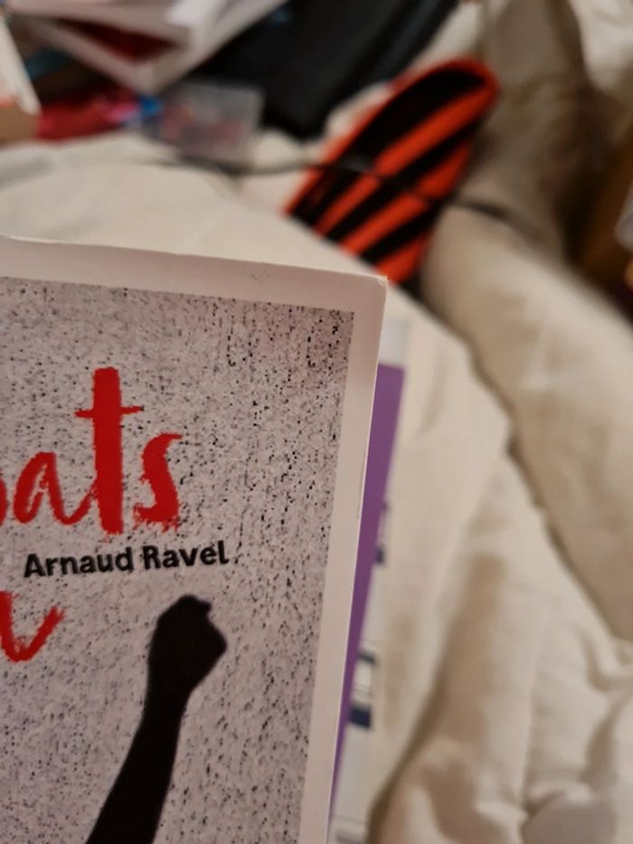Livre Arnaud ravel - photo numéro 4