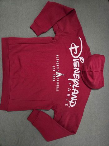 Sweat zip à capuche logo Disneyland Paris taille L + 1 goodies
