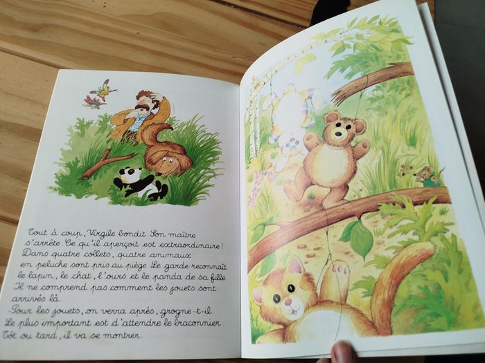 Diablotin a disparu - photo numéro 3