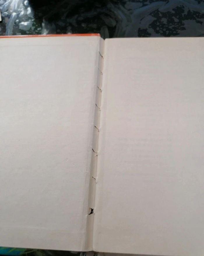 Les vacances - photo numéro 4