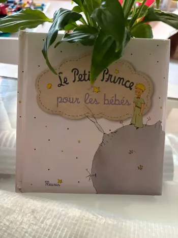 Le petit prince
