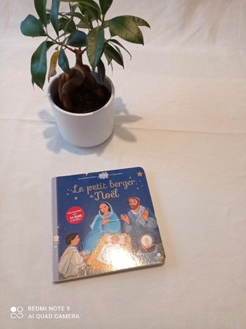 Le petit  berger de noel