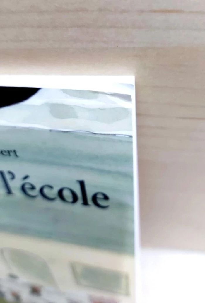 🌺 Livre (école des loisirs) : Un ours à l'école - photo numéro 7