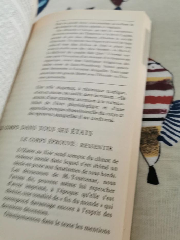 Anne Yvonne Julien commente l'œuvre au noir - photo numéro 3