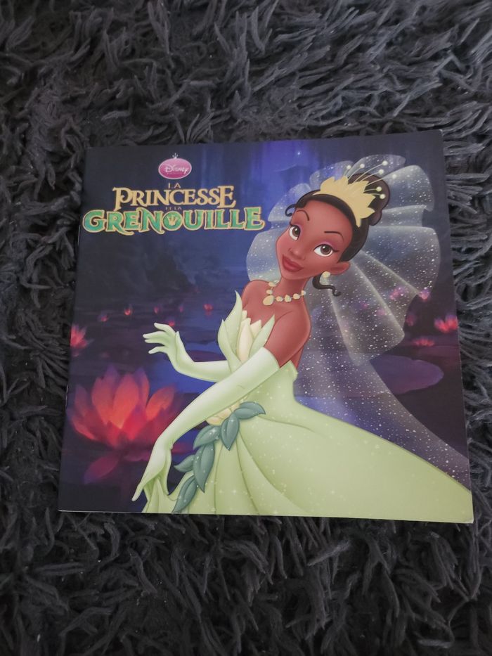 Livre disney la princesse grenouille