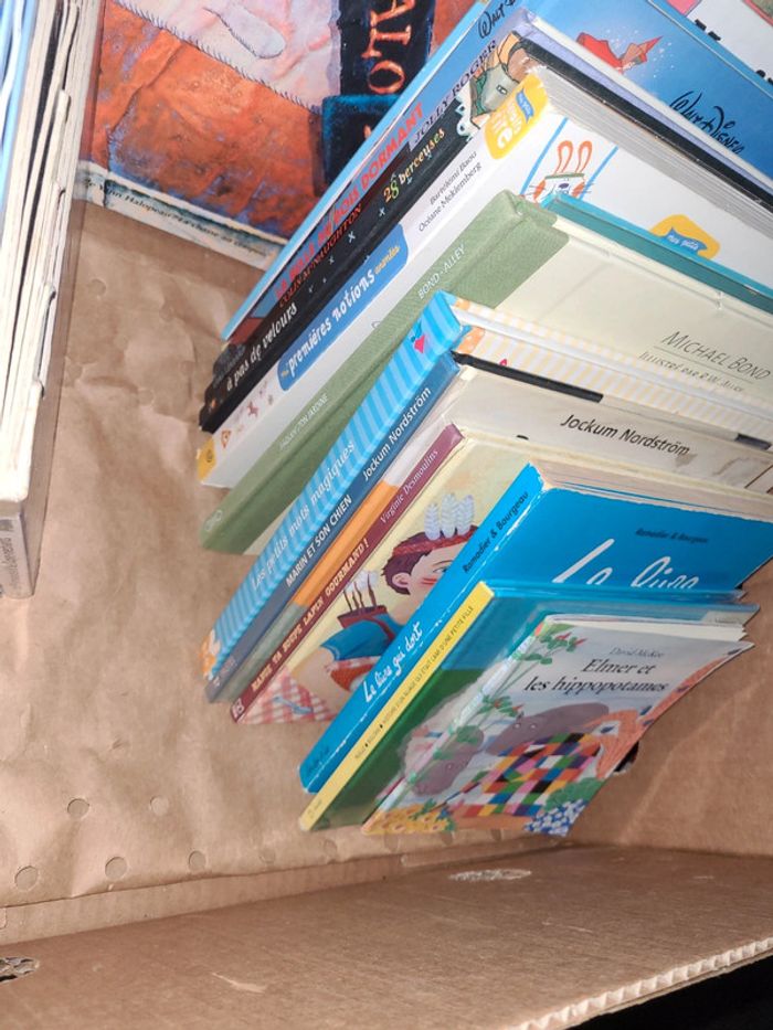 Gros lots de livre - photo numéro 2