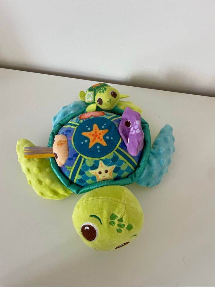 Juju maman tortue - photo numéro 4