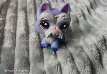 Petshop chien 2260