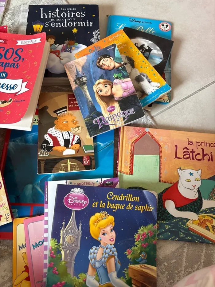 Lot de livre primaire /maternelle - photo numéro 7